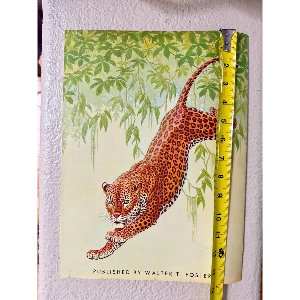 The Cats In Action by Walter J. Wilwerding Walter T. Foster Art Books #70